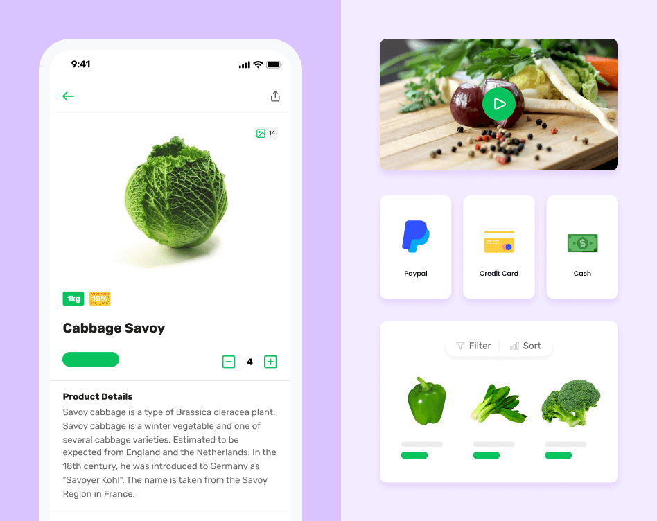 Spcialised grocery delivery app interface showcasing, a product page, featured video, payment icons and product cards